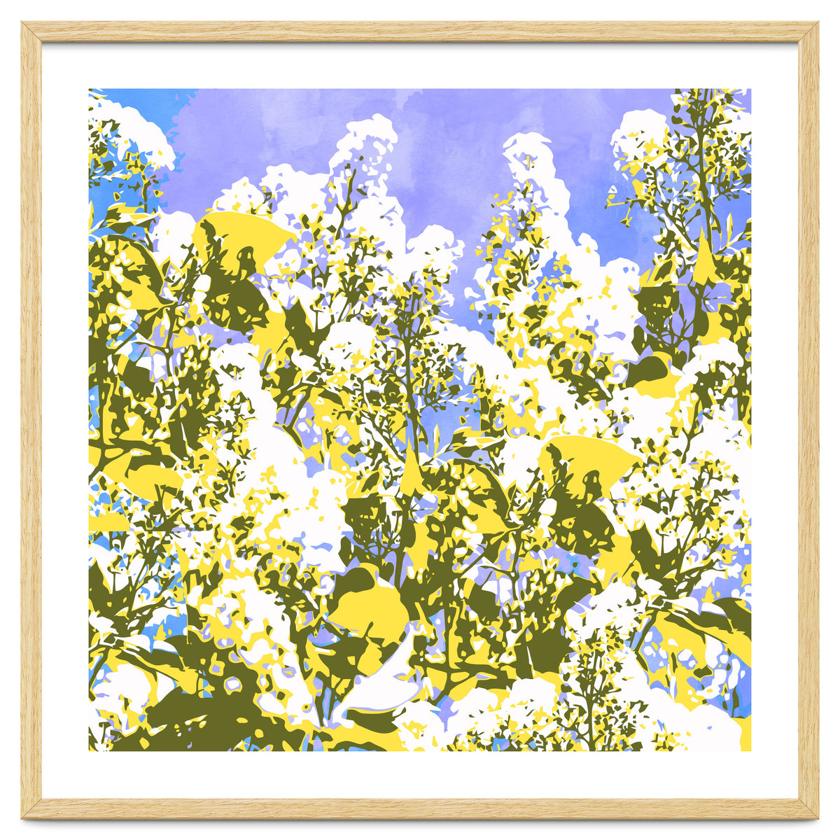 The Contrast Of Desire