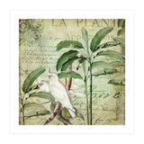 Nostalgic Cockatoo  (Print Only) thumbnail