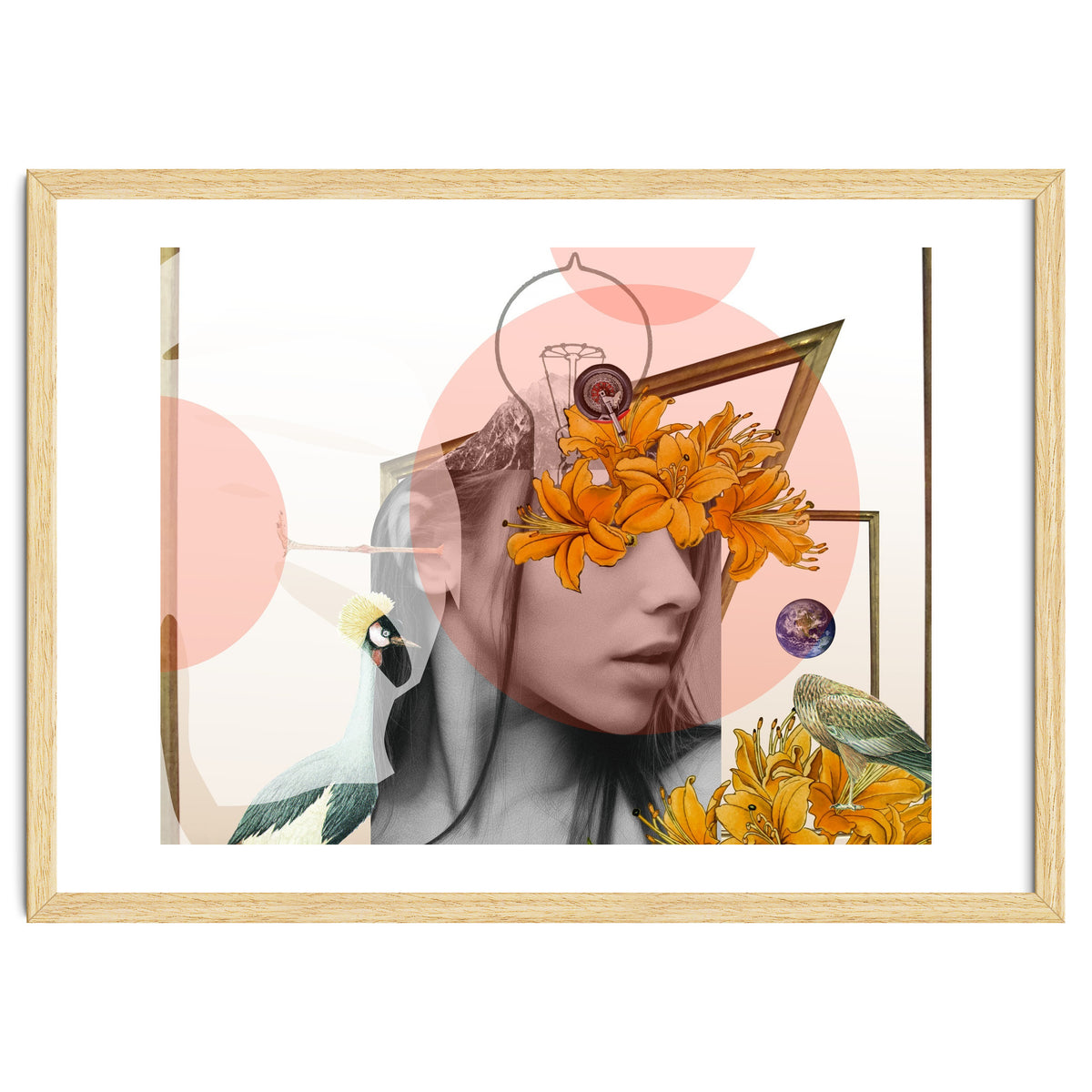 Dreamland Division · D