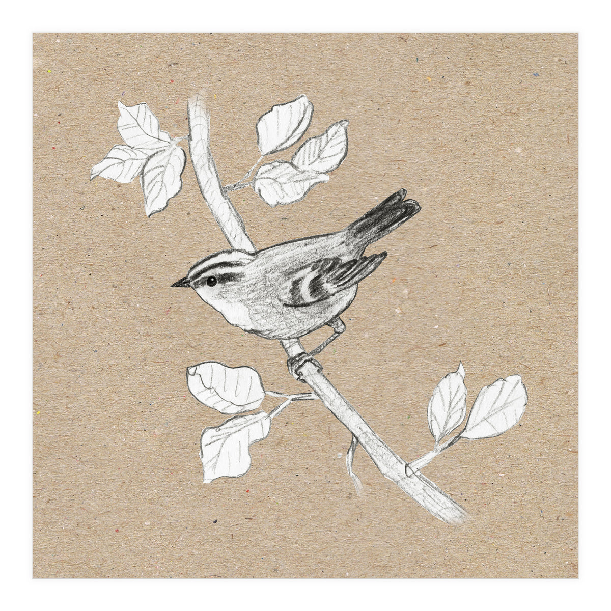Gold crest (Print Only)