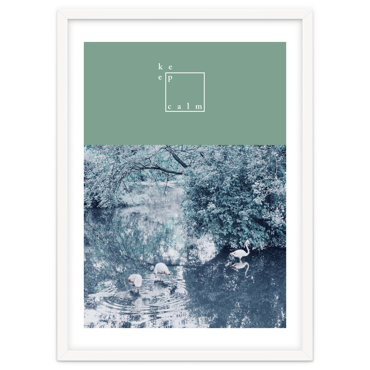 Flamingos - keep calm