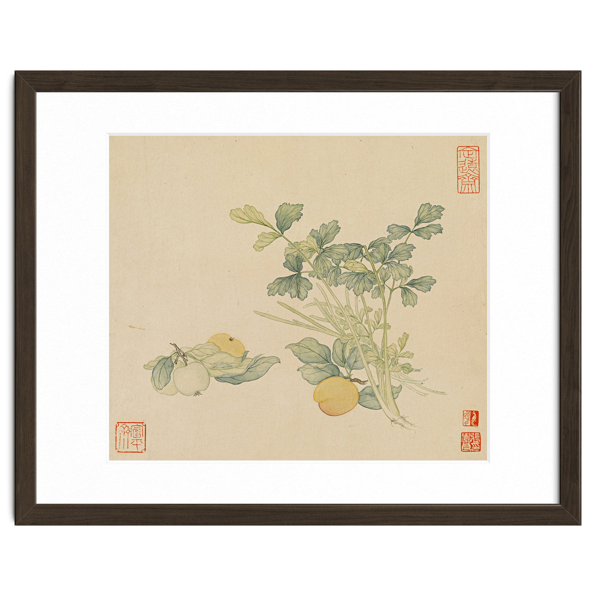 Wang Chengyu~flowers And Vegetables, Vegetables, Fruits, Plums, Apricots, Celery
