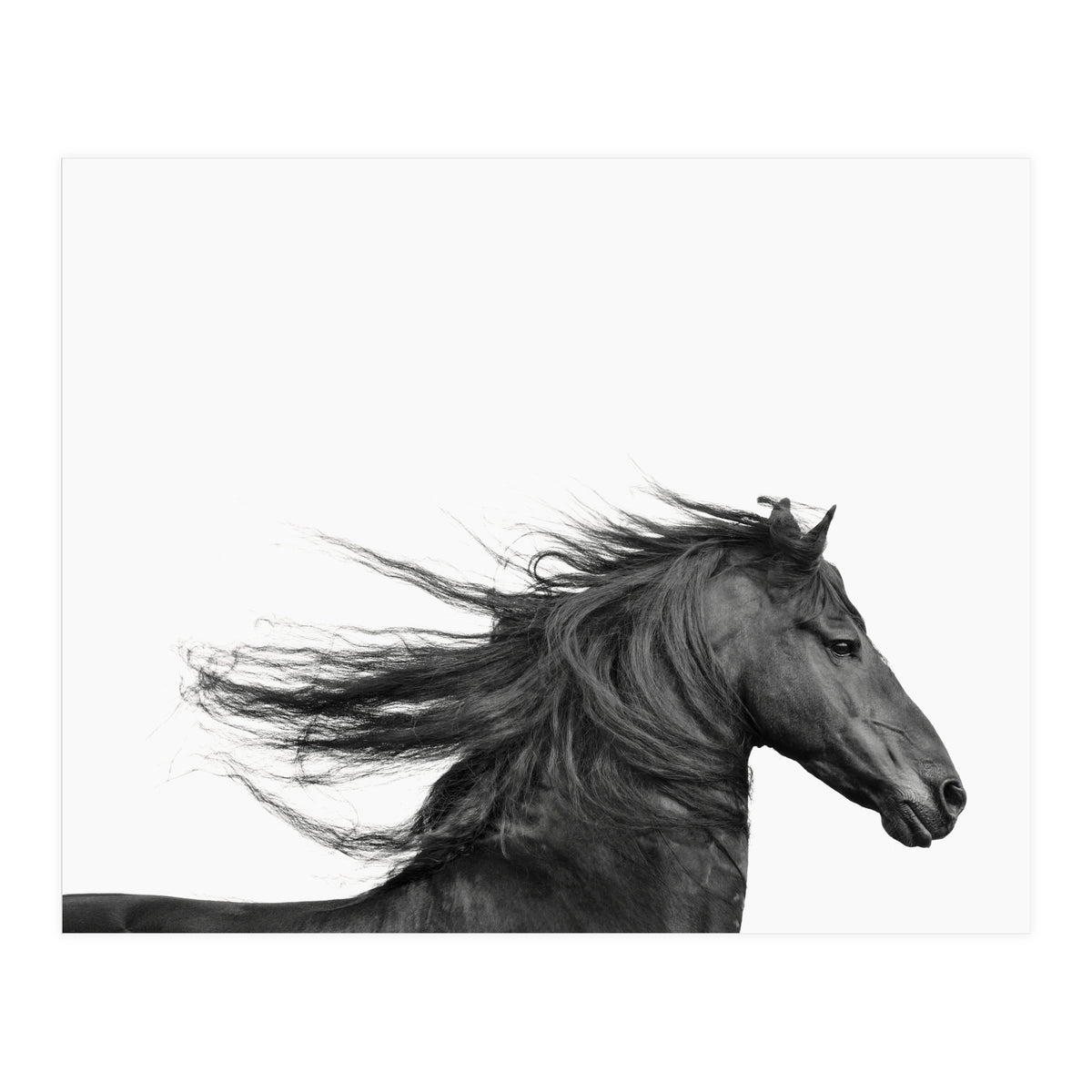 Dark Horse (Print Only)
