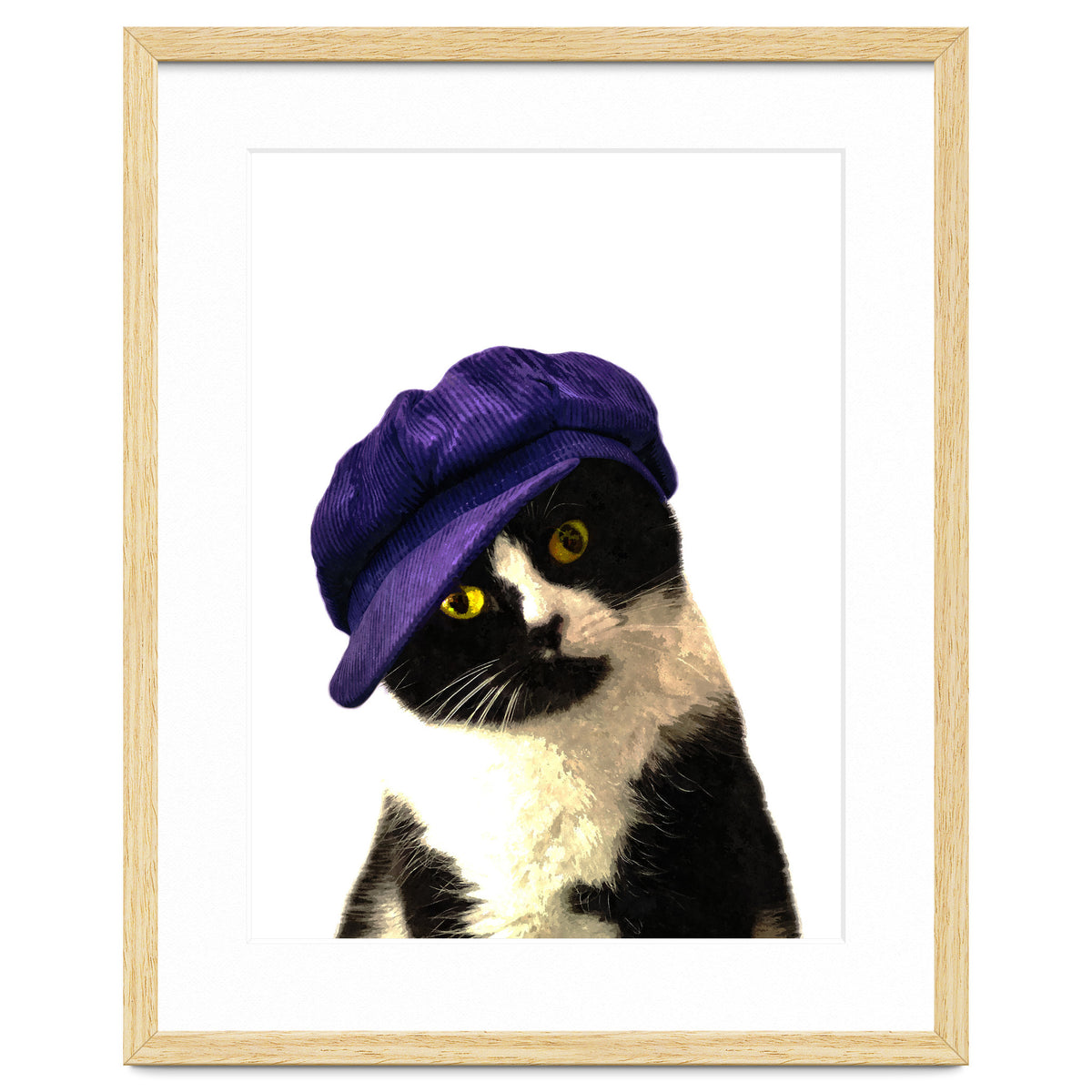 Cat Blue Hat