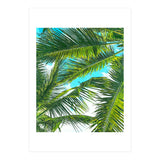 Life Is Better With Palm Trees (Print Only) thumbnail