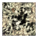 Ghost (Print Only) thumbnail