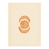 Botanical moon shapes (Print Only) thumbnail