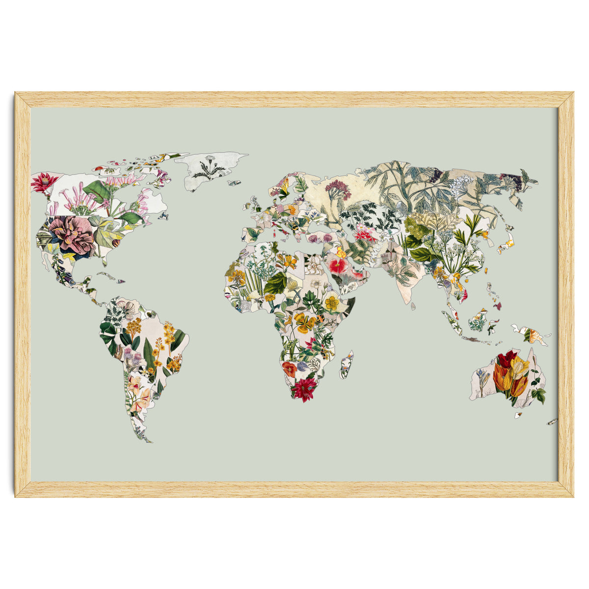 Vintage Botanical Map - Green