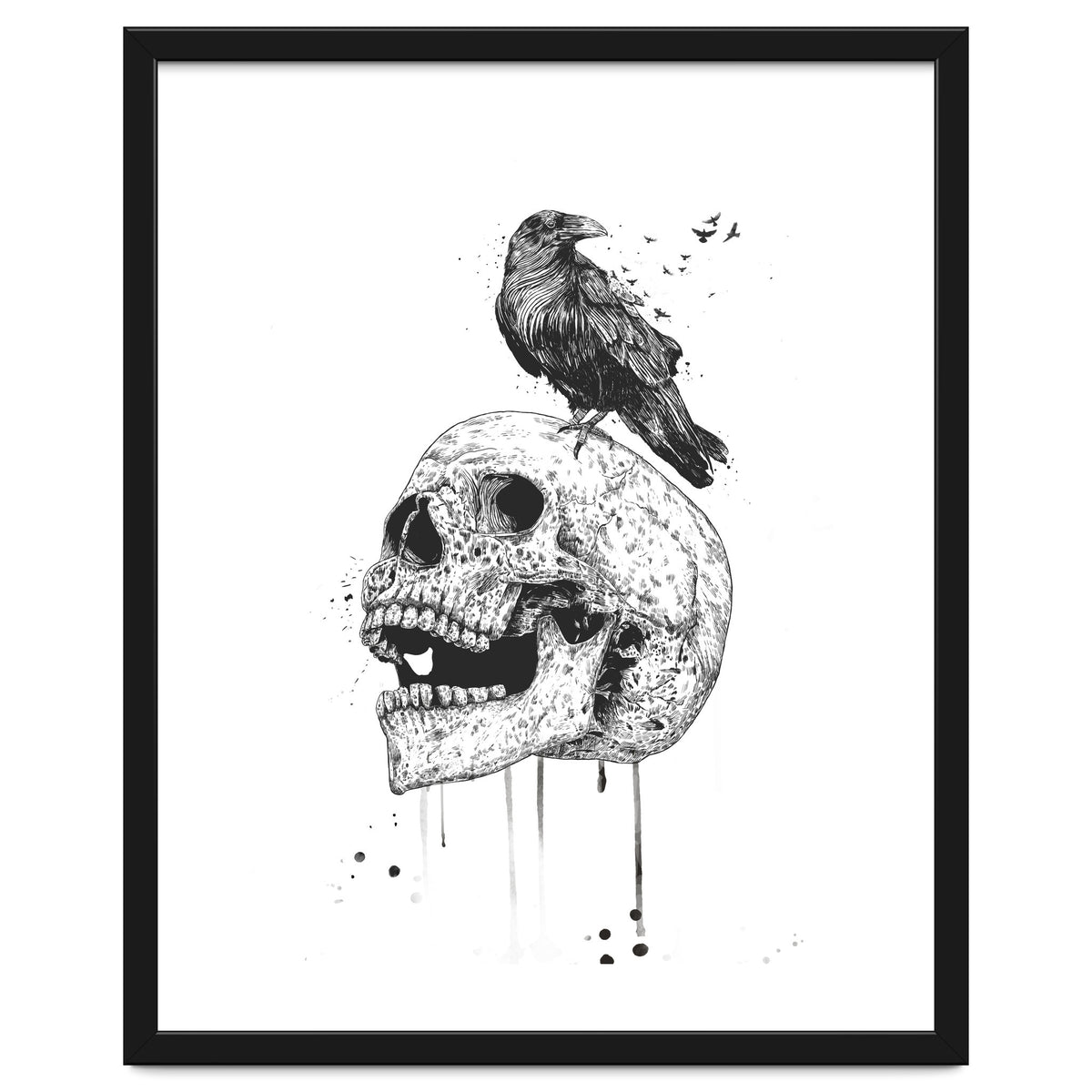 New Skull (bw)