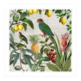 Fruit Paradise (Print Only) thumbnail
