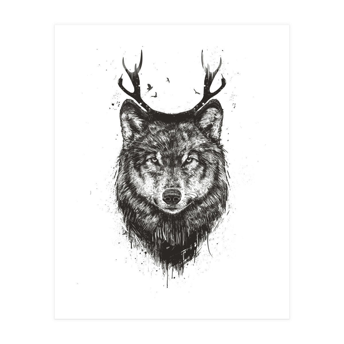 Deer Wolf Bw (Print Only)