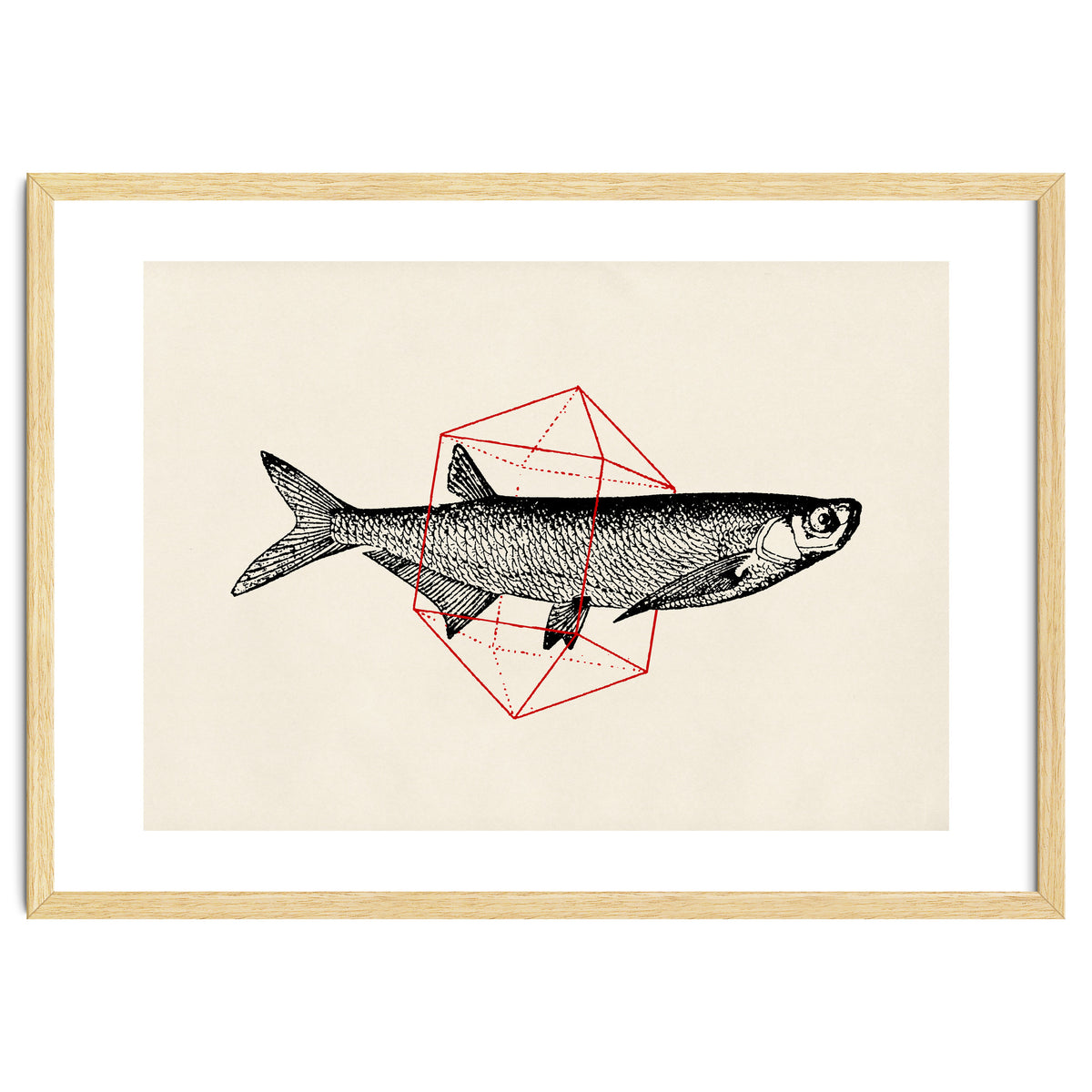 Fish In Geometrics II