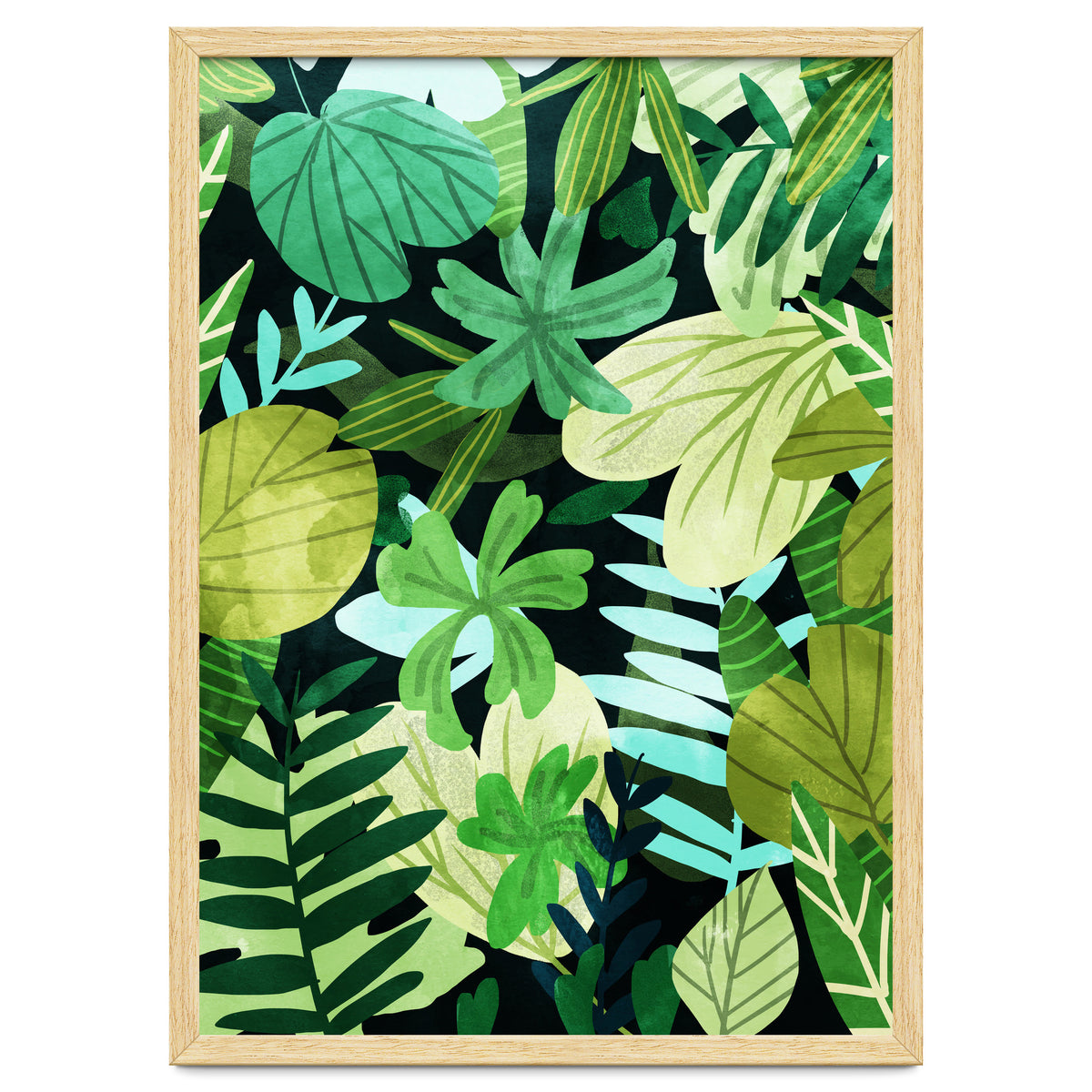 Rainforest Ii