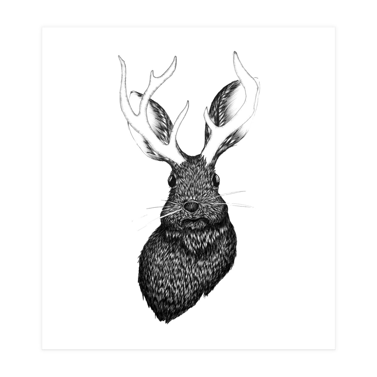 Jackalope  (Print Only)