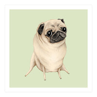 Sweet Fawn Pug (Print Only)
