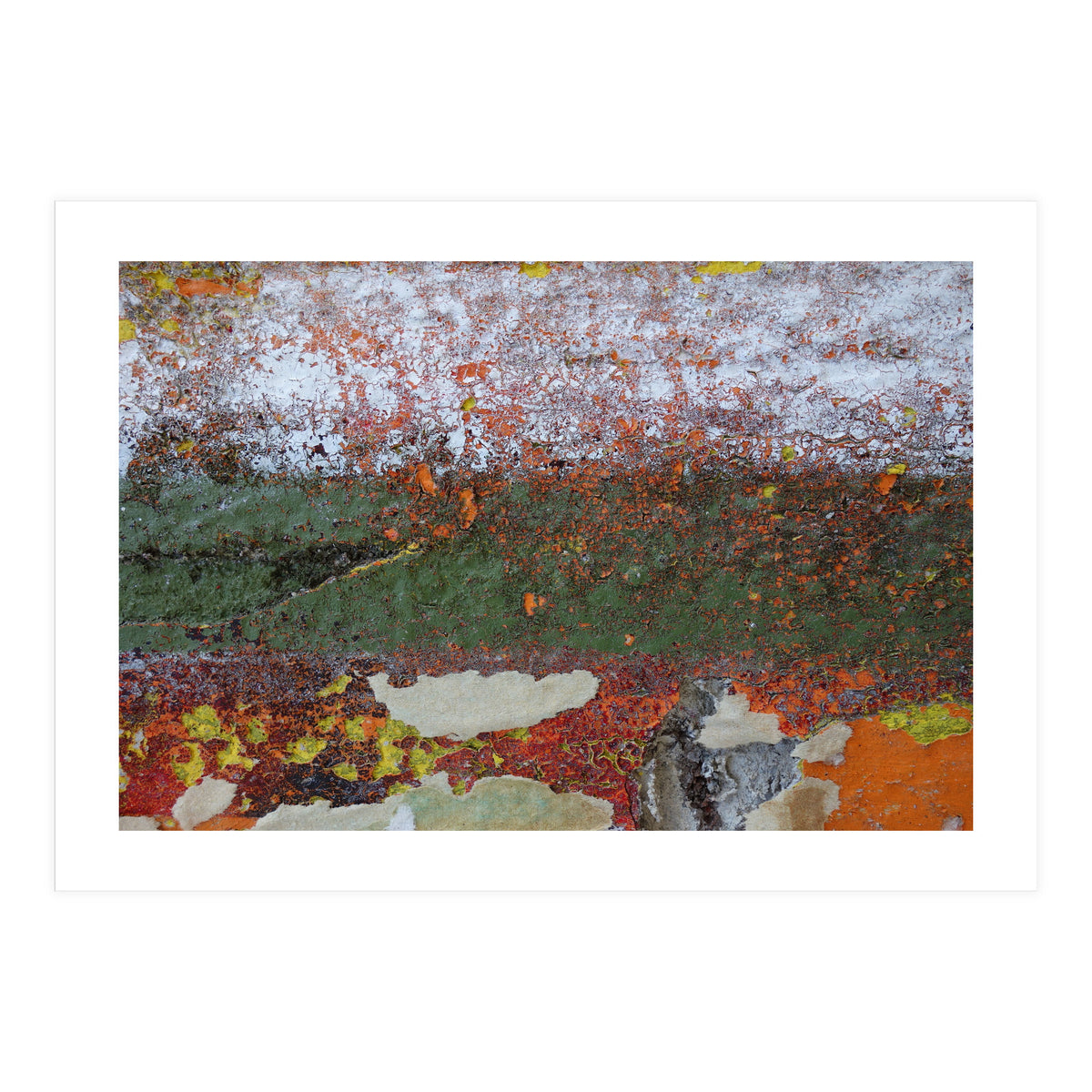 North South (Print Only)