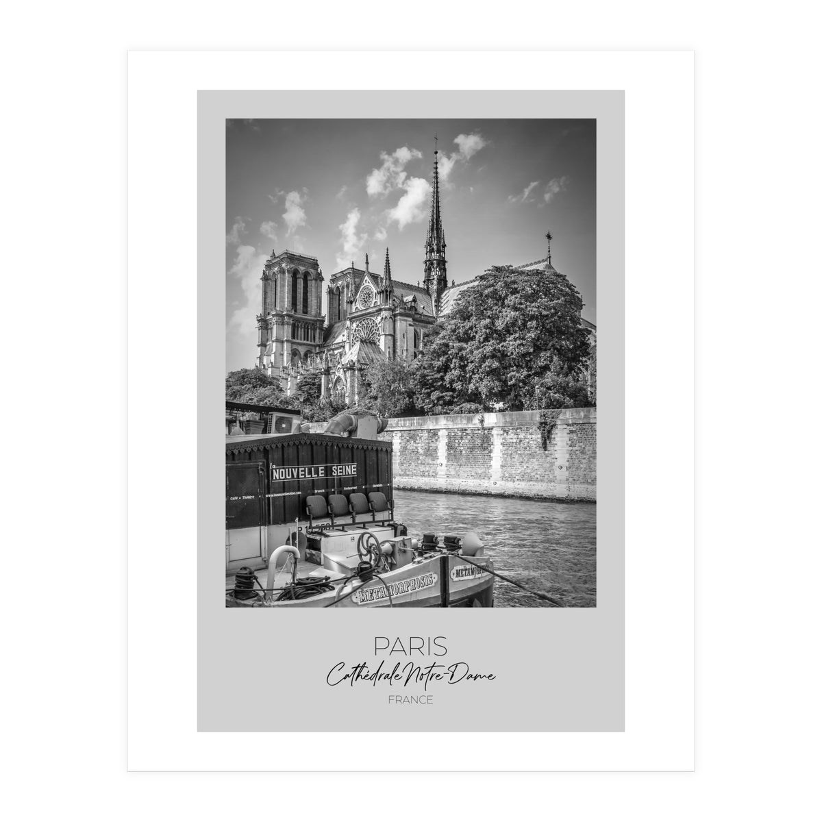 In focus: PARIS Cathedral Notre-Dame  (Print Only)