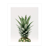 Pineapple Top (Print Only) thumbnail