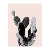 50 (Print Only) thumbnail