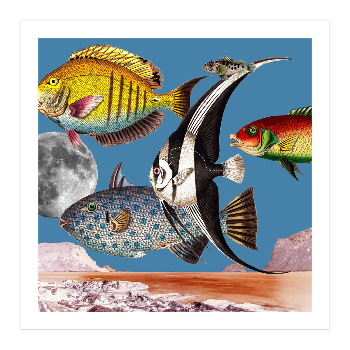 Fish World Blue (Print Only)