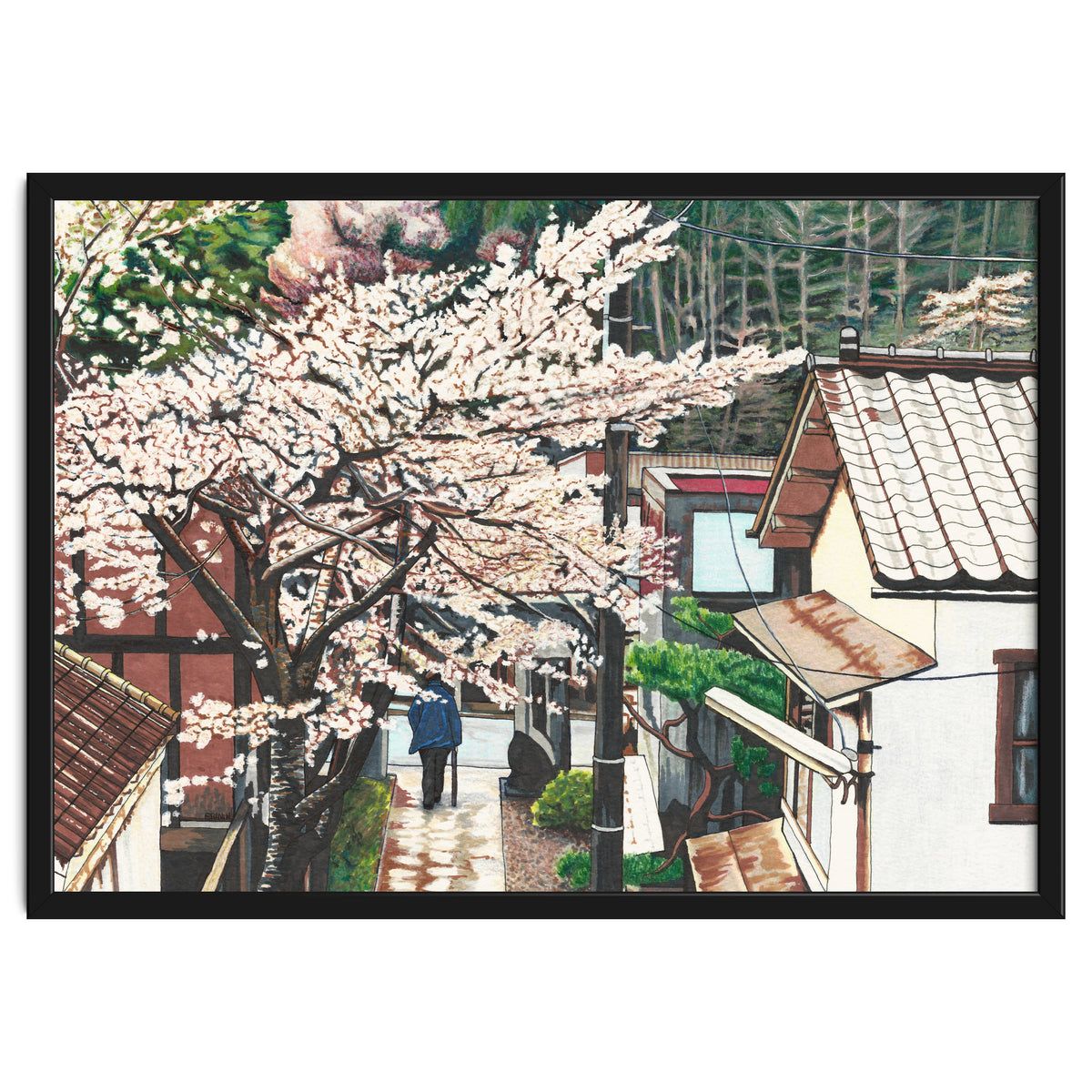 Passing by Cherry Blossoms