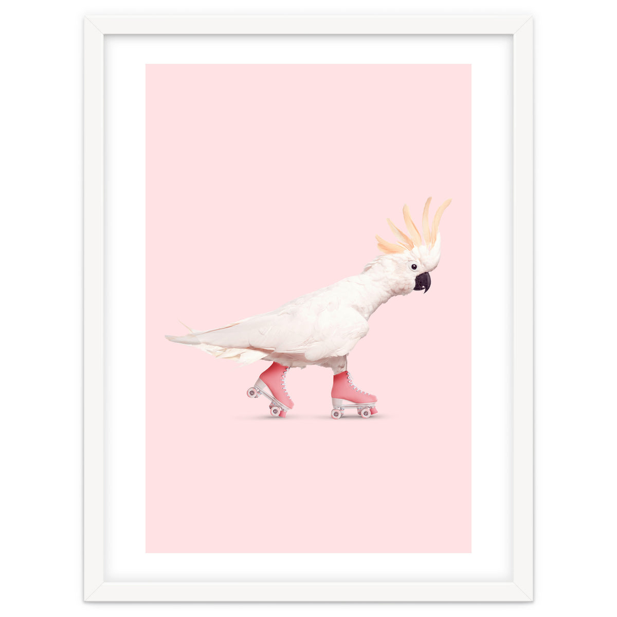 Rollerskating Cockatoo