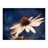 Flowers Indigo (Print Only) thumbnail