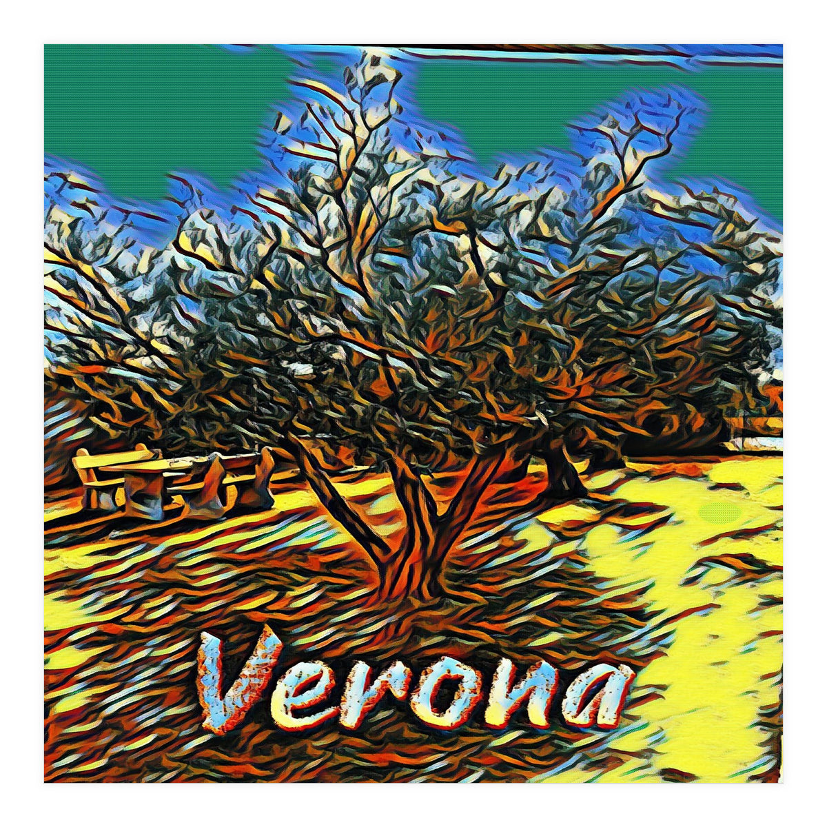 Colorful Olive tree in Verona, Italy. (Print Only)