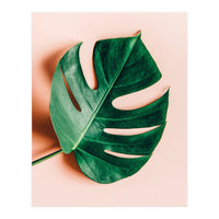 Monstera Shadow (Print Only)