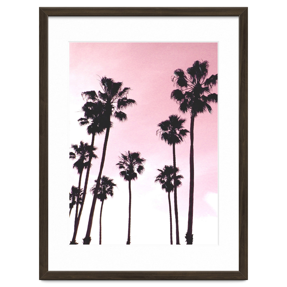 Palms & Sunset