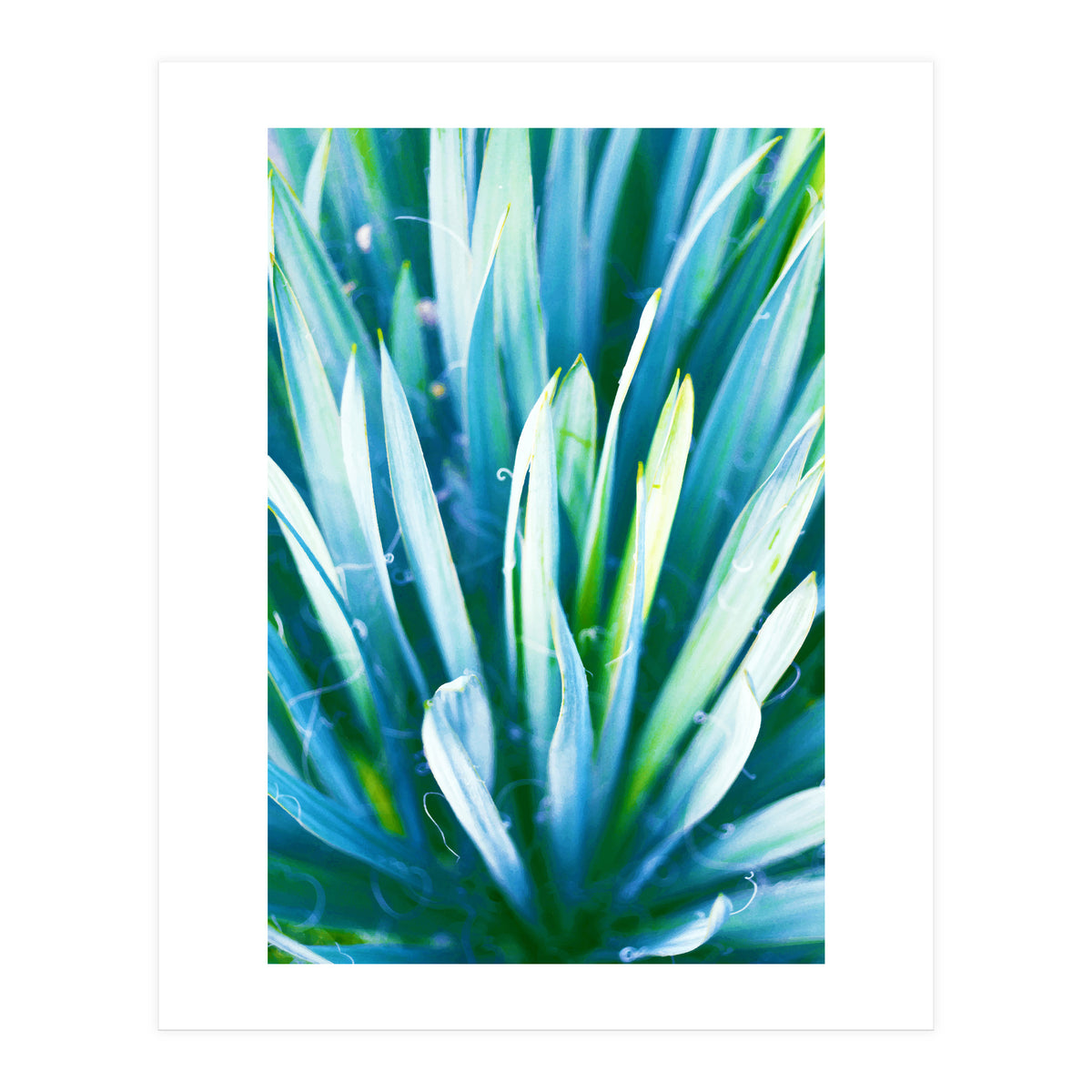 Heart Of Nature (Print Only)