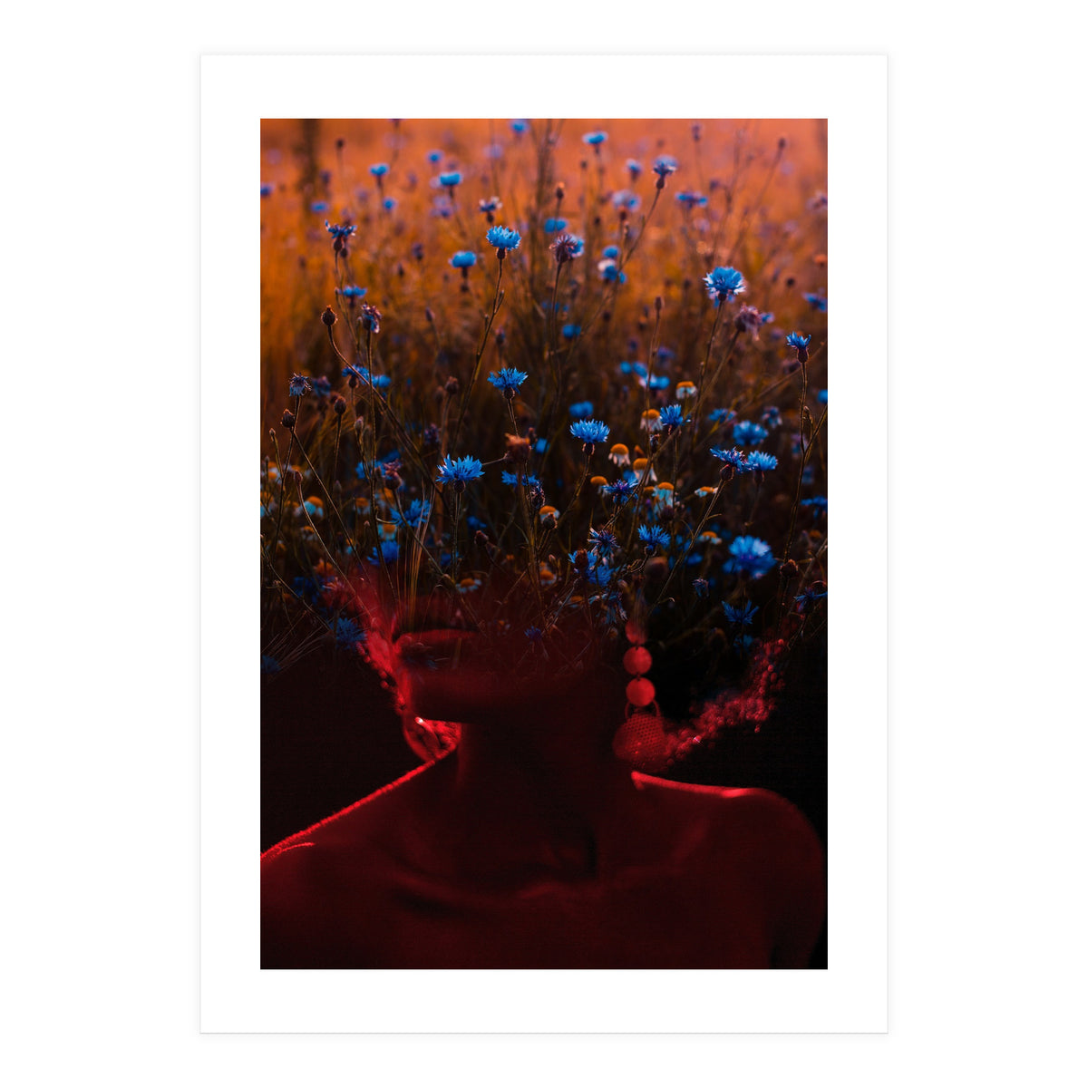 Dream Division 10 (Print Only)