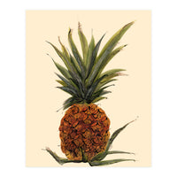Pineapple (Print Only)