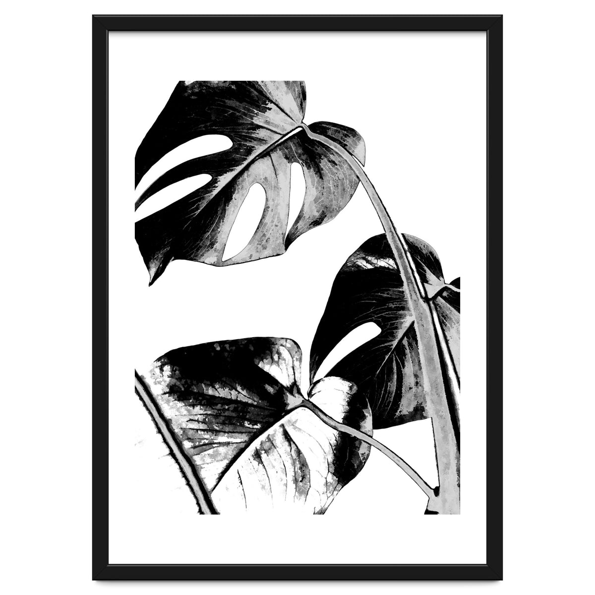Black Tropical Leaves