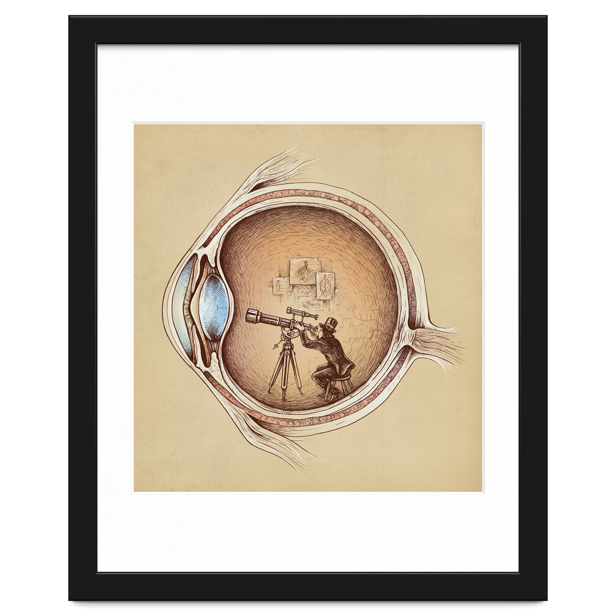 Extraordinary Observer