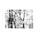 tree breeze (Print Only) thumbnail