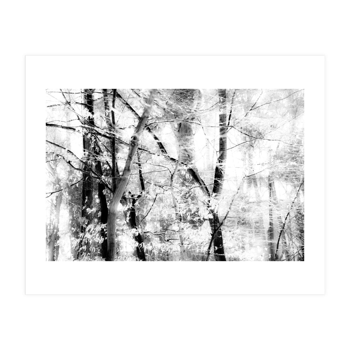 tree breeze (Print Only)
