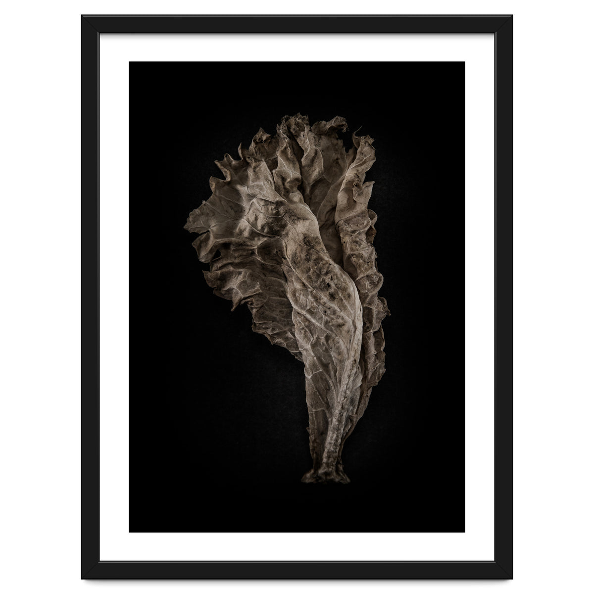 Leaves No 8 Color Version