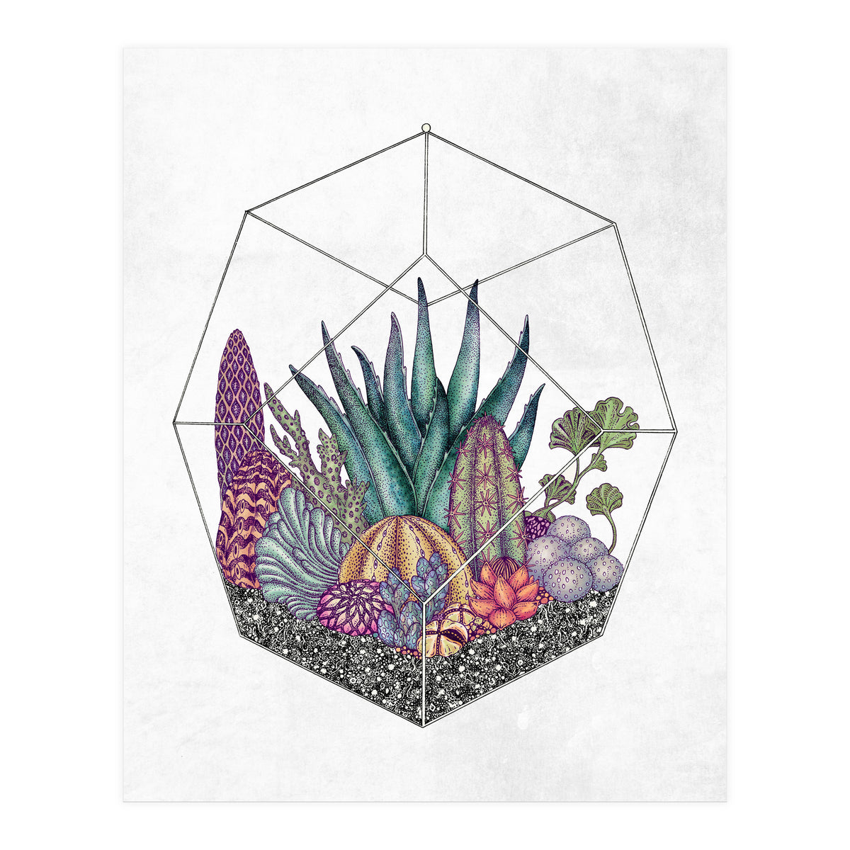 botanical geometria (Print Only)