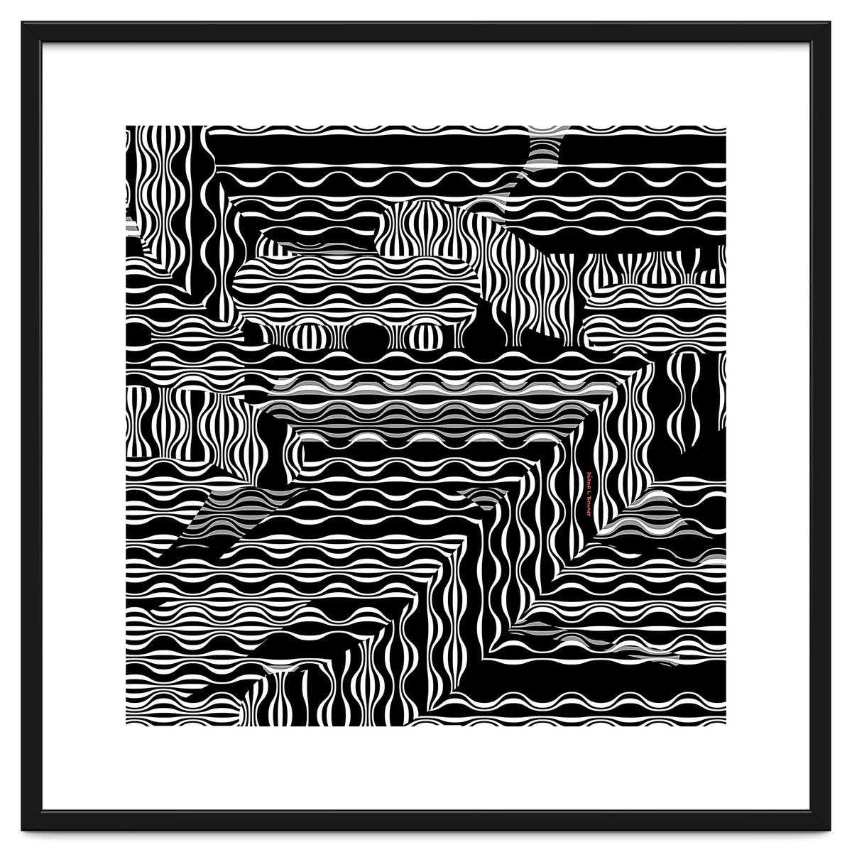 BLACK AND WHITE EXOTIC