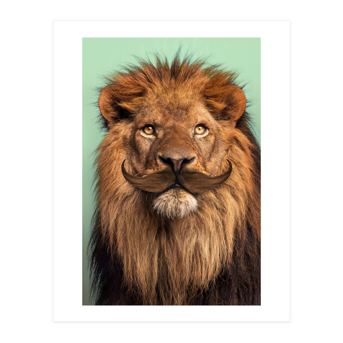 Bearded Lion (Print Only)