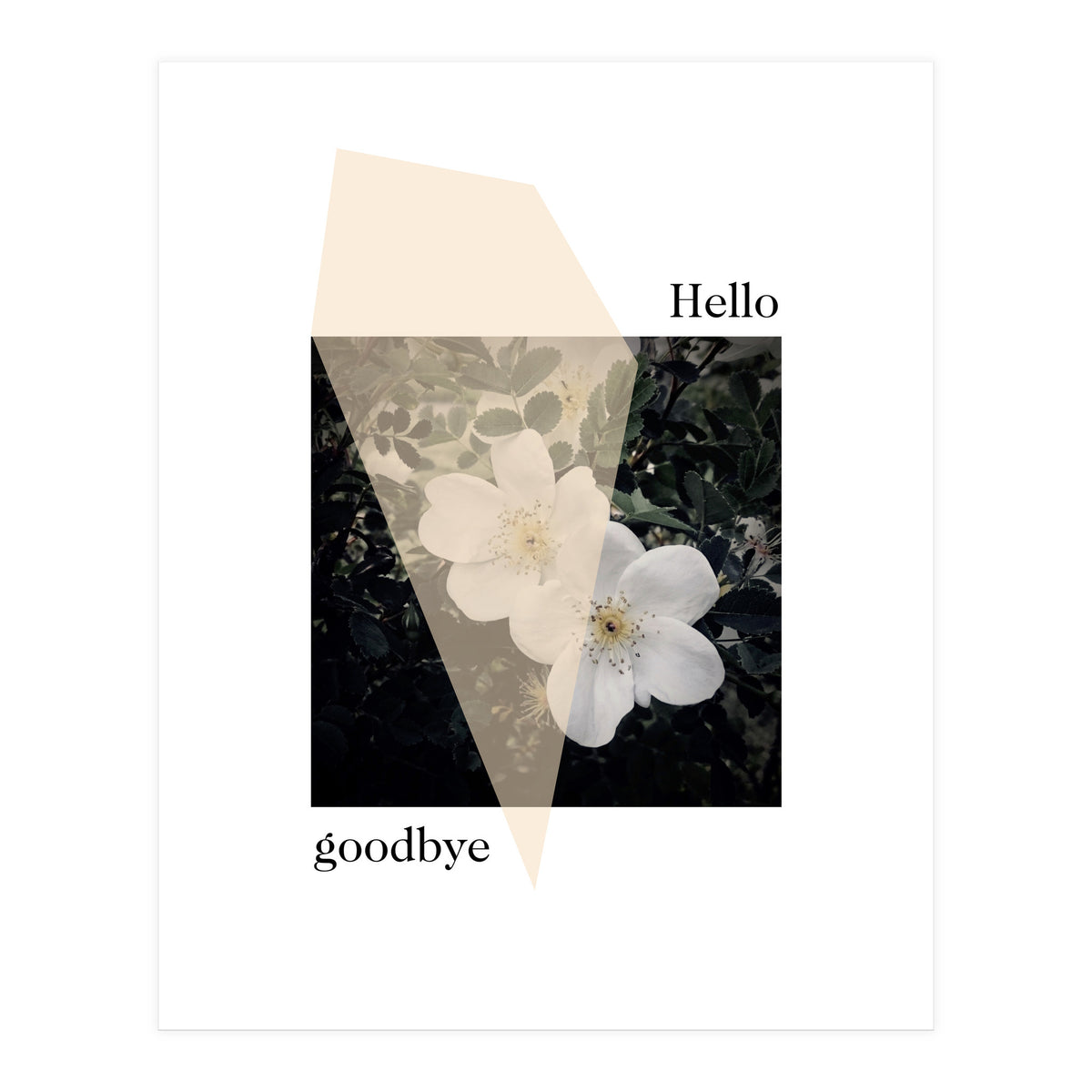 Hello goodbye  (Print Only)
