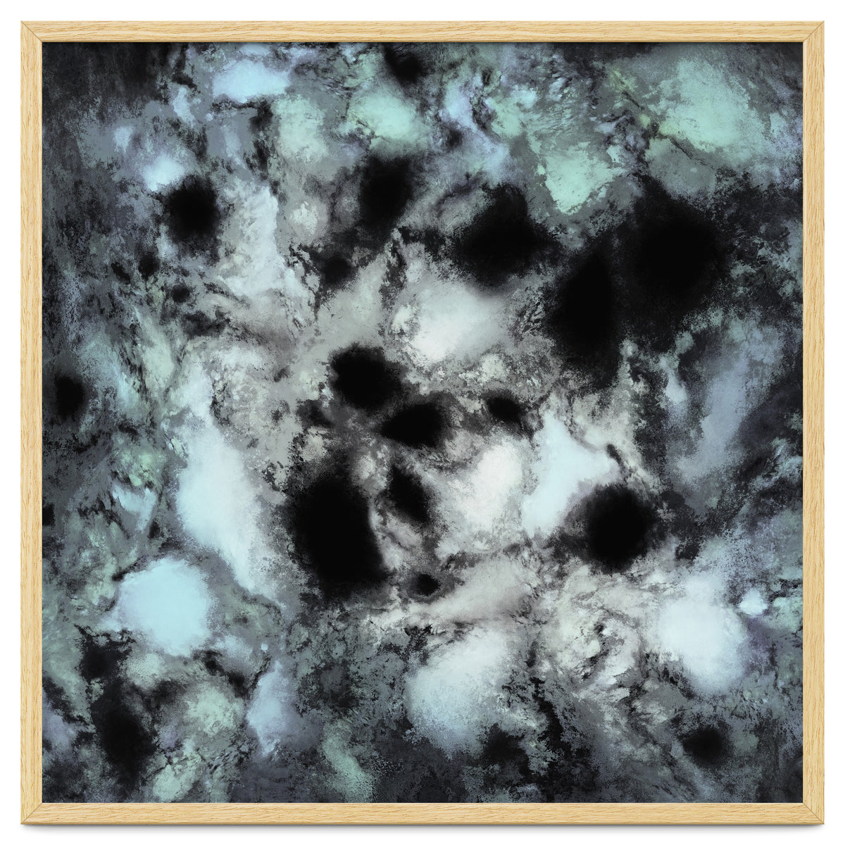 Searching For Animal Tracks