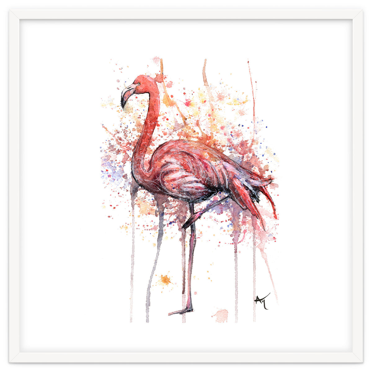 Flamingo - Wildlife Collection
