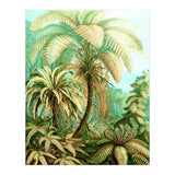 Vintage Tropical | Jungle Botanical Nature Banana Tree | Bohemian Plants Trees Forest (Print Only) thumbnail