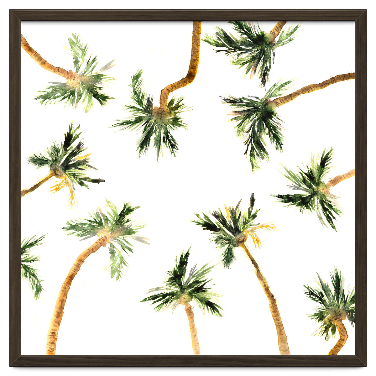 Under the coconut palms || watercolor