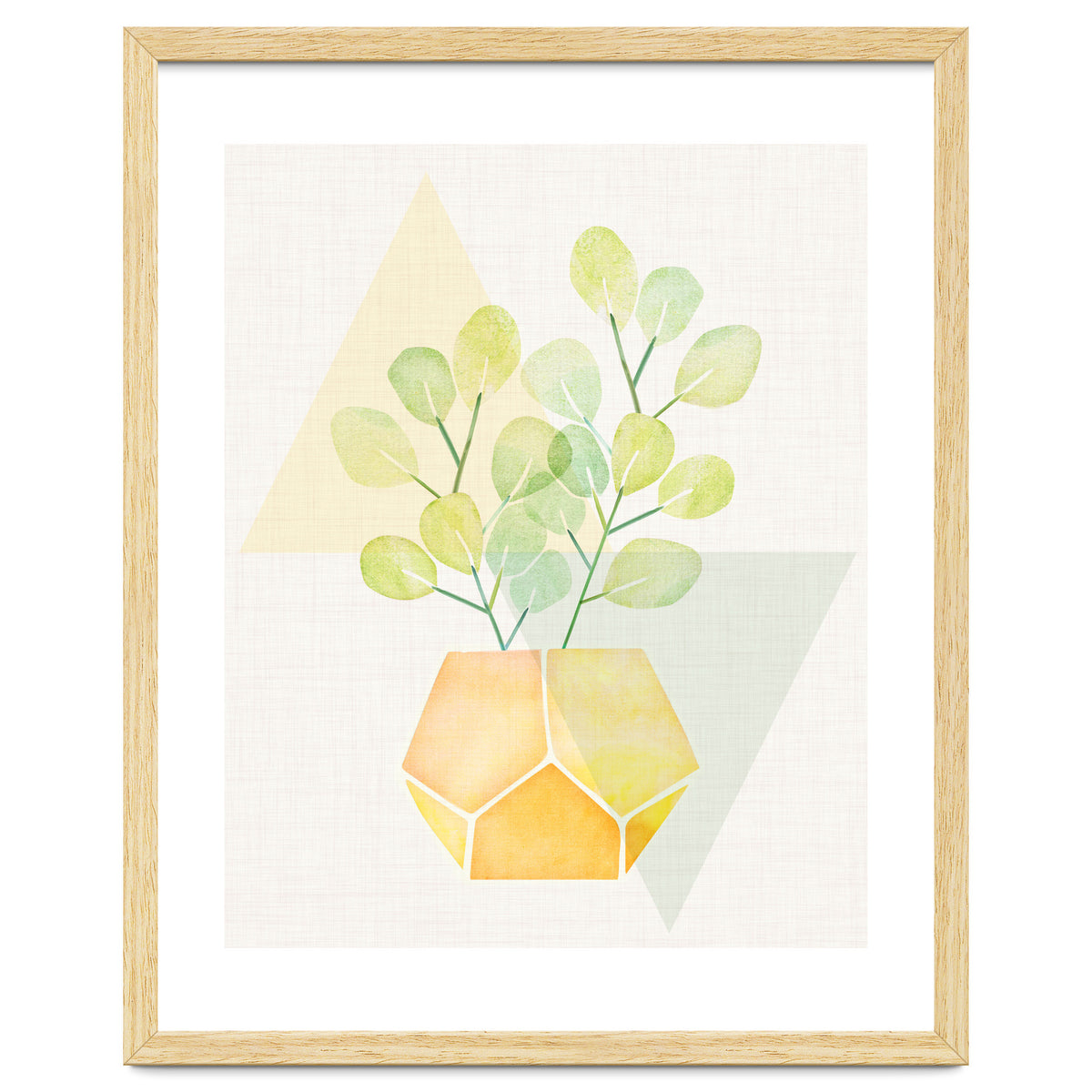 Geometry and House Plant