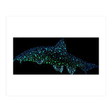 Barbel Fish (Print Only) thumbnail