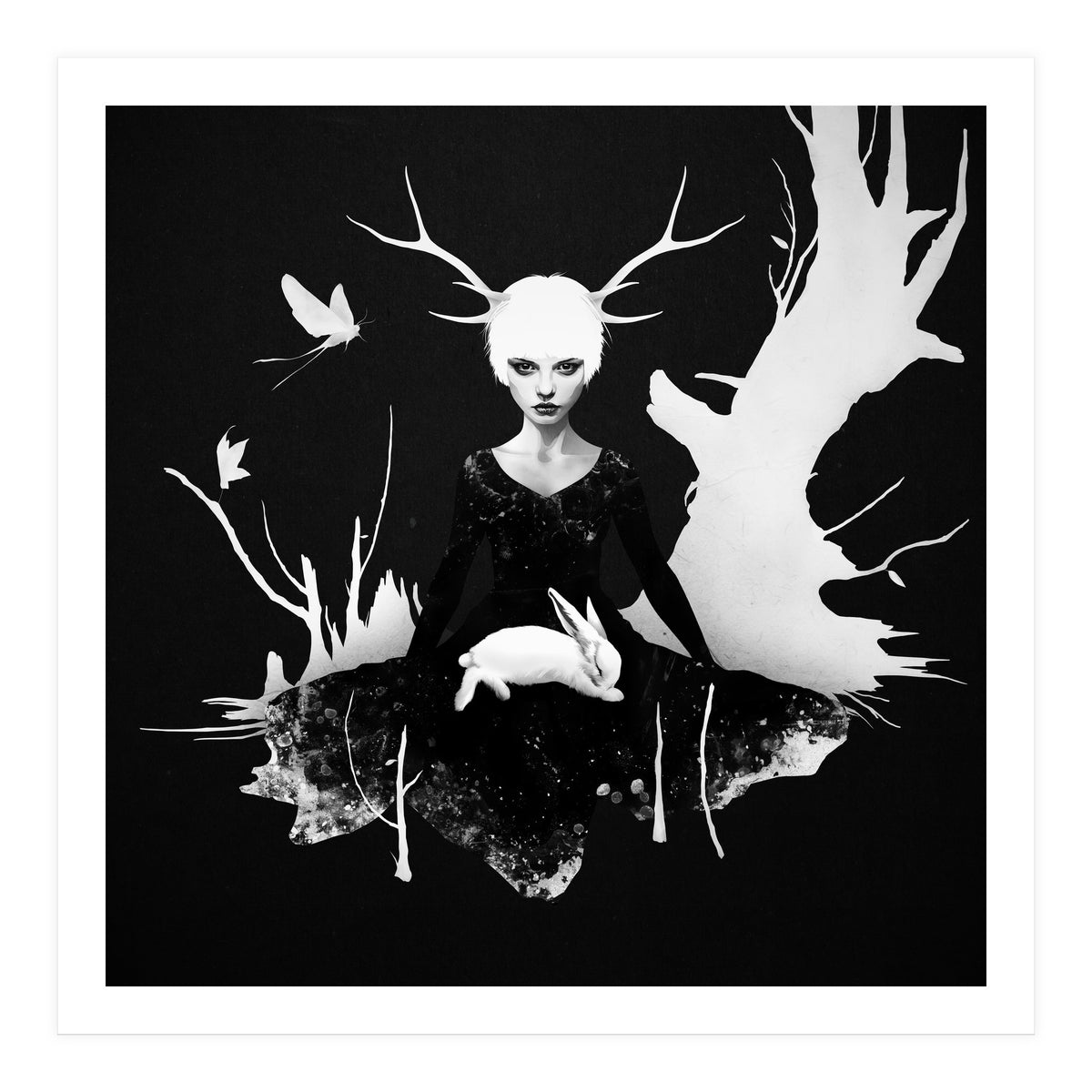 Space Within (Print Only)