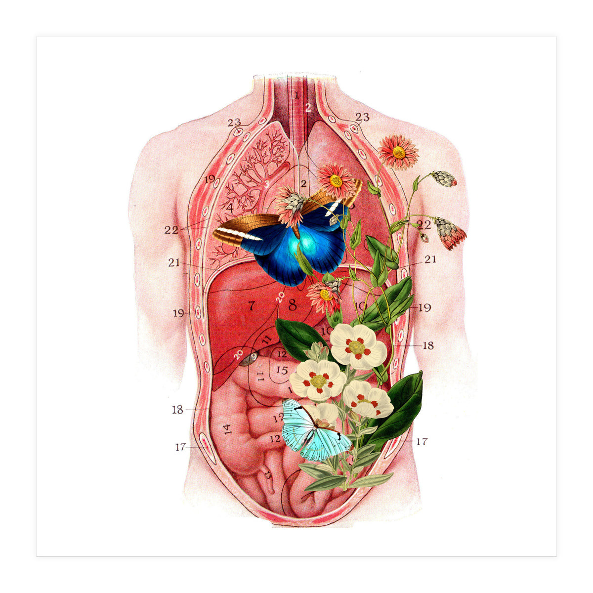 Butterflys In The Belly Makes Flower Grows (Print Only)